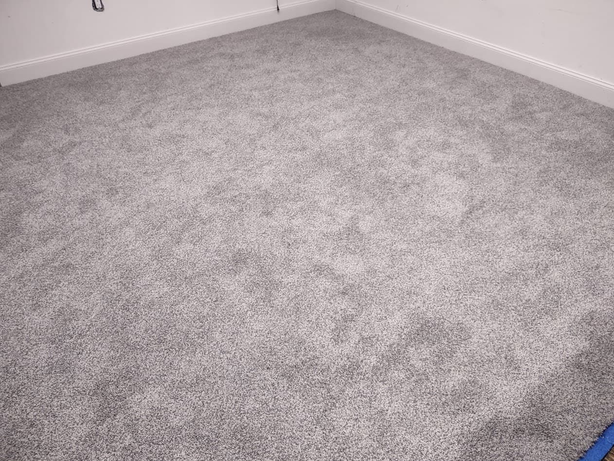 The finished wall-to-wall gray carpet, stretched flat and trimmed to the baseboards