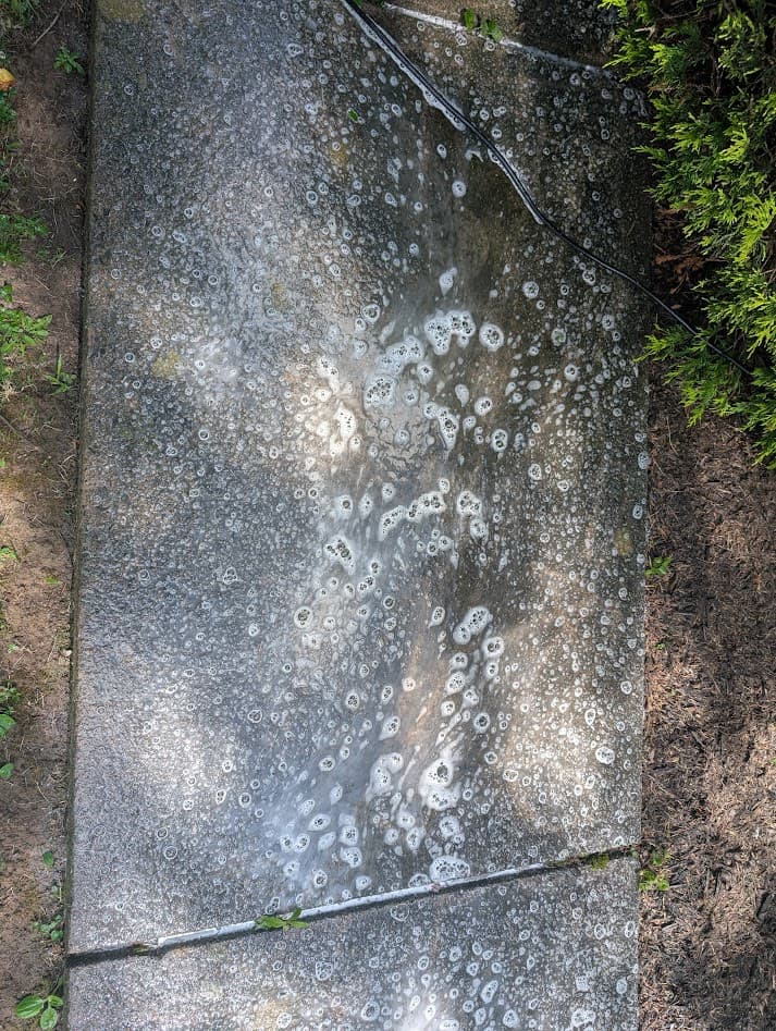 Professional concrete cleaner foaming on the sidewalk slab to break down the embedded algae and staining