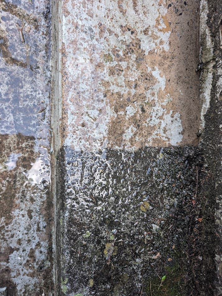 A step edge mid-clean, showing the sharp contrast between the freshly cleaned light concrete and the algae-darkened surface