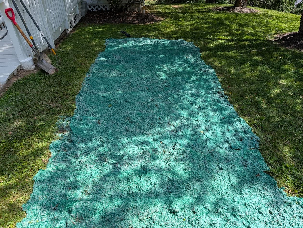 A bare dirt strip alongside the walkway hydroseeded with a green seed-and-mulch slurry to fill the lawn back in
