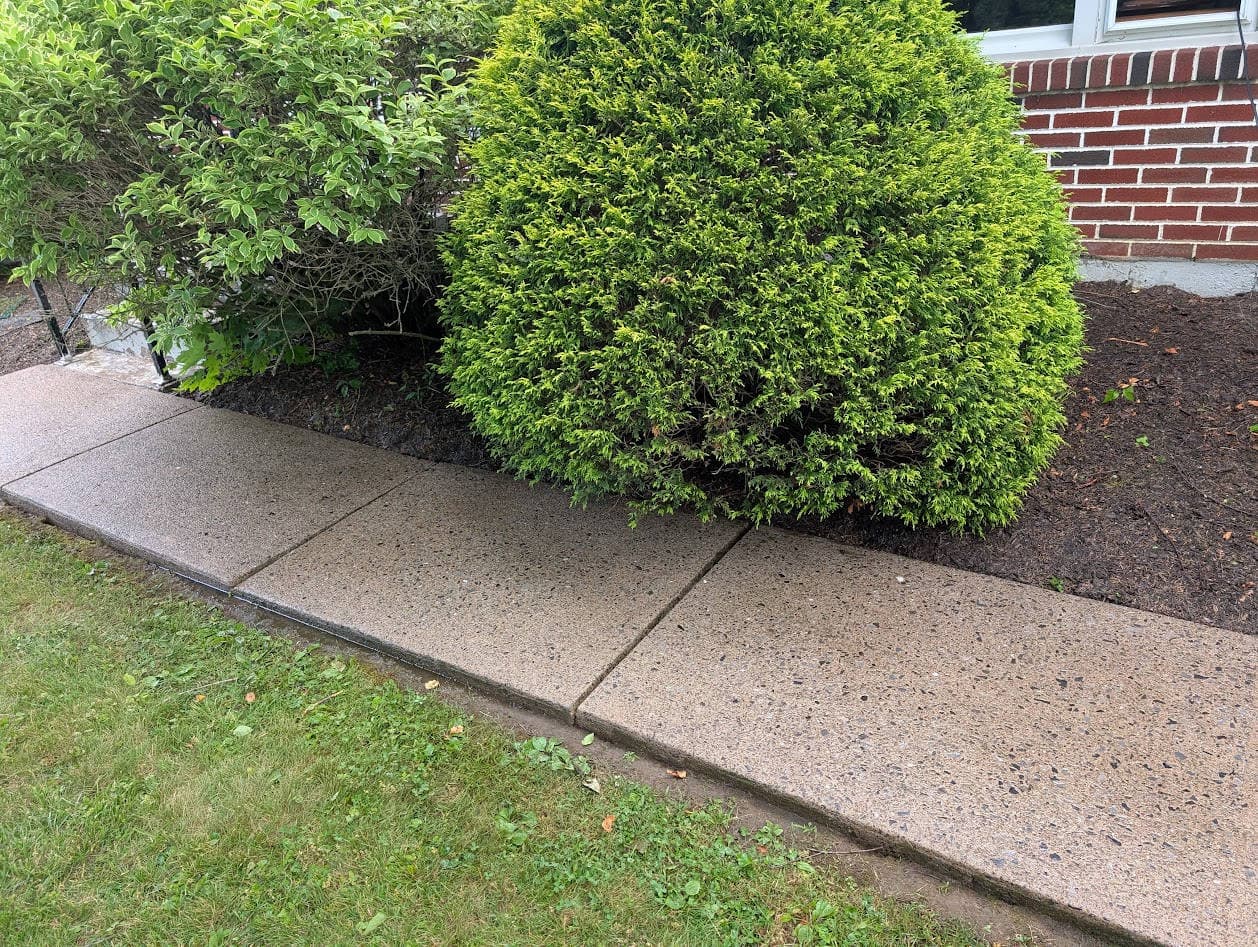 The cleaned exposed-aggregate sidewalk running along the mulch bed and brick house, its original color restored