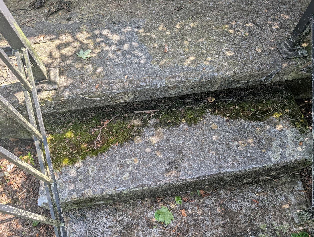 Close-up of the stoop steps before cleaning, with thick moss and lichen grown into the joints and treads